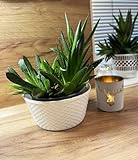 3 Stück Pflanzschalen Gesteckschalen 12 cm weiß im Set, in Rattan-Optik Blumengesteckschale Tischdeko