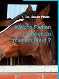 Welche Farben passen zu meinem Pferd ?: Teil 1 - Braune Pferde.