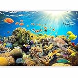murando - Fototapete Premium-Vlies Aquarium 300x210 cm - Foto Tapete Schlafzimmer Wohnzimmer Moderne Vliestapete XXL Wandtapete Motivtapeten Bildtapete 3d Effekt - Unterwasserwelt b-A-0002-a-a