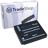 Hochleistungs Kamera Li-Ion Akku 1200mAh kompatibel mit Panasonic Lumix FT-1 FP-8 FS-6 FS-7 FS-10 FS-12 FS-15 FS-25 FS-42 FS-62 FX-40 FX-60 FX-550 FS-25 FP-1 ersetzt DMW-BCF10 DMW-BCF10E CGA-S/106C