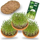 Green MaGeo Kresse Anzuchtset - 3 Kresse Anzuchtschalen mit MAXI Packung Kresse Samen und Anzuchtmatten Jutte, ideal für die Kresse Anzucht und als Microgreens Anzuchtset