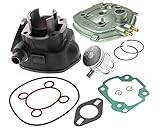 Zylinder Kit 50ccm 10mm inkl. Kopf für BENELLI 491 Sport 50cc, K2, BETA Ark, Eikon, GARELLI GSP