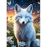 DPHERO DIY Weißer Fuchs Diamant Painting Kits Bilder für Erwachsene Anfänger,5D Wildblumen Diamond Painting Set,DIY Runde Steine Traumland Diamant Kunst Kits,Fox Diamond Art für Zuhause Dekor 30x40 cm