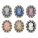 Oenothera 6 Stücke Cameo Brosche, Kamee Brosche, Vintage Antik Kamee Damen Brosche Pin, für Mantel, Jacke, Kleid, Schal, Dekoration, Zubehör