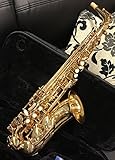 C.G. CONN AS501 Eb-Alt Saxophon inkl. Etui