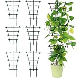 6 Stück Rankhilfe Zimmerpflanzen, Pflanzengitter, Rankhilfe, Langlebig Korrosionsbeständig, Wiederverwendbare Garten Pflanzenstütze, die Zusätzlichen Wachstumsraum für Pflanzen Bieten