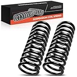 Frankberg 2x Federn Fahrwerksfeder Hinterachse Kompatibel mit E-Klasse W124 E200 D E200 E220 E250 D E280 E300 D E320 1993-1995 Replace# 1243241104