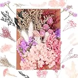 JIEYUCHU Trockenblumen, Trockenblumen Zum Basteln, Natürliche getrocknte Blumen, Trockenblumen Klein zum Basteln für für DIY Epoxidharz Scrapbook Zubehör Handgemachte Heimdekoration Hochzeit