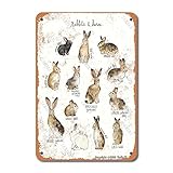 Kaninchen und Hasen, Blech, Vintage-Look, 20,3 x 30,5 cm, Dekoration, Malerei für Zuhause, Küche, Badezimmer, Bauernhof, Garten, Garage, lustige Wanddekoration