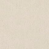 Kt KILOtela - Canvas Dekostoff, Leinenstoff, Leinwandstoff, Home-Accessoires, Tischdecken, Vorhänge, Tischdecken, Kissen, Taschen, Lichtechtheit: 4-5, Beige Leinen, 100 x 280 cm, 1 Meter