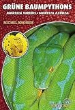 Grüne Baumpythons: Morelia viridis – Morelia azurea (Buchreihe Art für Art Terraristik)