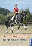 Grundausbildung des jungen Reitpferdes: Von der Fohlenerziehung bis zum ersten Turnierstart