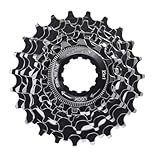 XLC Zahnkranz-Kassette, 8-Fach (13-14-15-17-19-21-24-28), Campagnolo, Silber