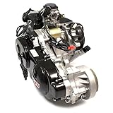 Motorroller 50cc Scooter Motor Komplett 139QMB für Direct Bikes DB50QT-16