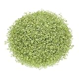 Peridot Mini Trommelsteine | 100 Gramm Edelstein Chips | 1-4 mm Durchmesser | Lebensquelle Plus