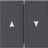 Gira 029428 Wippen mit Pfeilsymbol System 55 , anthrazit