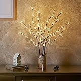 EAMBRITE 3er Set Lichterbaum Aussen Innen 60LEDs Wasserdichte Lichterzweige 76CM Warmweißes Zweiglicht Braun mit Netzstrom Betriebene LED Lampe Zweige Dekoration für Weihnachten Ostern Halloween