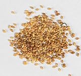 Duftveilchen Viola odorata 400 Samen