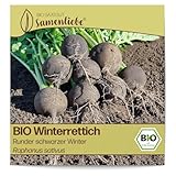 Samenliebe BIO Winterrettich Samen alte Sorte Runder schwarzer Winter scharfer Rettich rundes Wintergemüse schwarz 100 Samen samenfestes Gemüse Saatgut für Gewächshaus Freiland und Balkon