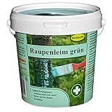 Raupenleim Grün 1kg Eimer
