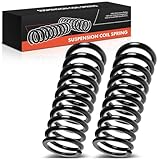 Frankberg 2x Federn Fahrwerksfeder Hinterachse Kompatibel mit W124 E200 E220 E250 E280 1993-1995 S124 E200 E220 E250 E280 1993-1996 Replace# 1243241204