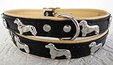 Lusy011 *DACKEL* Hunde Halsband, Leder, Halsumfang 28-32cm oder 36-41cm, SCHWARZ -Beige NEU (Halumfang 28-32cm/36cm/20mm)