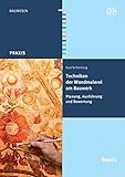 Techniken der Wandmalerei am Bauwerk: Planung, Ausführung und Bewertung (Beuth Praxis)