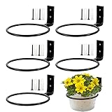 Aimeke 5 Stück Blumentopfhalter Wand Φ 10cm Pflanzen Wandhalterung Blumentopfhalter Ring mit Montagezubehör Blumentopf Wandhalterung Haken Wandhalterung für Blumentöpfe Garten Balkon Schwarz