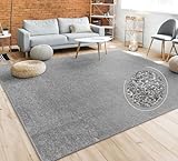 Paco Home Teppich Wohnzimmer Schlafzimmer Esszimmer Kurzflor Moderne Optik Einfarbig Pastell, Grösse:160x220 cm, Farbe:Anthrazit