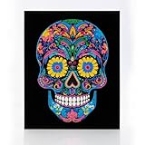 DIAMOND DOTZ 2594359 Original 5D Diamond Painting Set, Neon Totenkopf, mit Neonfarben und Samt, DIY Diamant Malerei Bilder für Erwachsene und Kinder ab 12 Jahren, Intermediate