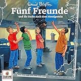 Fünf Freunde 145: Fünf Freunde und die Suche nach dem Mondgestein