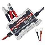 Dino KRAFTPAKET 750mAh-6V/12V Erhaltungsladegerät/Intelligentes und voll-automatisches Ladungserhaltungsgerät/Für Blei-Säure, GEL, EFB, AGM-Batterie/KFZ-Batterie-Ladegerät Auto, Motorrad, PKW, Boot