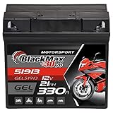 BlackMax G19 51913 Motorradbatterie GEL 12V 21Ah Batterie 519013017 ABS 19Ah