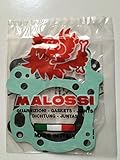 Serie Dichtungen Malossi Zylinderzylinder Durchmesser 67 für Motor Rotax 125 150 Aprilia Leonardo Scarabeo