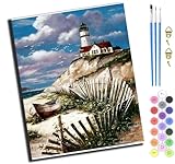 XIAOYOUQIAN Leuchtturm Und Altes Schiff An Der Küste,Malen Nach Zahlen Erwachsene,Paint By Numbers,Diy Handgemalt Ölgemälde Mit 3,Pinseln Und Acrylfarbe Leinwand Kit,40X50 Cm,Ohne Rahmen
