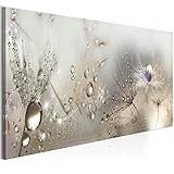 murando Acrylglasbild Pusteblume 120x40 cm 1 Teilig Wandbild auf Acryl Glasbilder Kunstdruck Moderne Acrylglas Platte Wanddekoration Geschenke Heimdekoration Glasbild Blumen Natur grau Pusteblumen