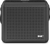 Nordmende Transita 110 – Tragbares DAB+ & UKW Digitalradio – Portable Musikbox mit OLED-Display – Outdoor Radio mit Tragegriff & Uhr