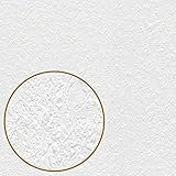 TADESSI Tapete Überstreichbar Vliestapete Weiß Unitapete Grobe Putzoptik 1 Karton 12 Rollen TA-01-03923