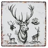Hirsch - Retro Vintage Kult Blechschild, Wandschild, Dekoration 30 x 30 cm, bunt