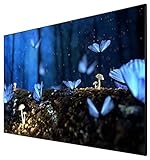 celexon Heimkino- und Business-Rahmen-Leinwand für Ultra-Kurzdistanz-Projektoren - 100"- 220x124cm - hochreflektierend Gain 0,6 - 4K UHD- Active 3D