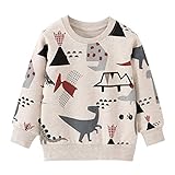 EULLA Jungen Sweatshirt Kinder Pullover Baumwolle Activewear 92-122 1-7 Jahre 2# Grau Dinosaurier DE 122