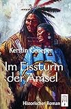Im Eissturm der Amsel: Historischer Roman