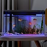 Crevyteg 19L Aquarium mit Filter und Licht, Rechteckiges Aquarium mit Filter und Sauerstoffzufuhr, LED-Licht, Mini-Fischtank Tischdekoration für Zuhause, Büro, Wohnzimmer