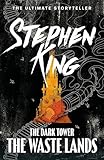 The Dark Tower III: The Waste Lands: (Volume 3) (The dark tower, 3)