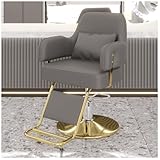 Professioneller Friseurstuhl Mit 360° Drehung Und Hydraulischer Pumpe, Barberstuhl Höhenverstellbar, Kapazität 200 Kg Frisörstuhl Für SPA Schönheit,Dark Gray,F