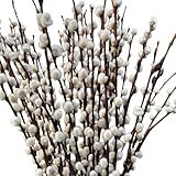 frischer natürlicher WEIDENKÄTZCHEN Bund 70cm. Hochzeitsdeko Osterdeko Frühlingsstrauß (2)