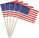 50 Stück * Flaggenpicker + Zahnstocher * für Party und Länderparty | Flag Picks Deko Dekoration Partydeko Fahne Flaggen Länder, Edition: USA