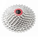 KTKEET 11-Gang-Kassette 11-25T/28T/30T/32T/34T/36T/40T/42T/46T/50T/52T Mountainbike/Rennrad Kassette 11-Gang Fahrradkassette Ritzel Kompatibel mit Shimano Ultegra XT Sunrace Sram (11-36T)