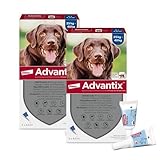 ADVANTIX Sparset: Elanco Spot on für Hunde 25 kg - 40 kg, Schutz vor Zecken & Flöhen, wehrt Mücken & Stechfliegen vor dem Stich ab – Schutz für Urlaub & Alltag, Wirkung bis zu 4 Wochen, 2x4 Pipetten