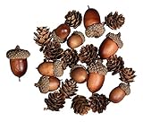Rayher 55922000 Eichel-Zapfen Mix, sort. 2-4 cm, SB-Btl 27 Stück